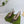 GG 26 Slingback Olive Green Velvet 592420