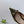 GG 26 Slingback Olive Green Velvet 592420