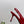 PRA 26SS Slingback 75 Red Patent Leather 592341