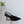 PRA 26SS Slingback 75 Black Suede 592342
