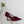 PRA 26SS Pumps 75 Burgundy Suede 592350
