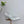 PRA 26SS High Heels Pumps 75 White Patent Leather 592353