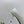 PRA 26SS High Heels Pumps 75 White Patent Leather 592353
