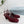 PRA 26SS Slingback 85 Burgundy Suede 592365