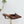 PRA 26SS Hight Heel Mule 55 Brown Cowhide 592400
