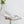PRA 26SS Slingback 55 Ivory Beige Cowhide 592412