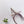 PRA 26SS Slingback 55 Ivory Beige Cowhide 592403
