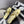 CC 25SS Thong Sandals Double C Rhinestone Gold Sheepskin 352432