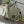 Loew Ibiza Mini Slit Raffia Tote Bag 30cm Olive Raffia Leather