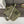 Loew Ibiza Mini Slit Raffia Tote Bag 30cm Olive Raffia Leather