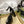 GG CRYSTALS PLATFORM PUMPS BLACK CALFSKIN