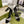GG CRYSTAL BLACK HIGH HEEL SANDALS SATIN