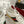 GC 2025 Re-Motion Sneaker White Suede Cowhide 292412