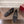 GG Jordaan Loafer Black Mesh With Crystal
