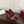 GG Boulevard Pumps 7.5cm Burgundy Leather 888855