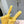 Miu Slippers Dark Yellow Wool Fabric
