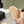 CC 26s Dad Platform Sandal Mule Beige Sheepskin 762875