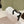 CC 26s Platform Mules White Patent Leather Lambskin 916986