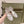 CC 26s T-strap Slingback 6.5cm White Lambskin/Rhinestones 917016