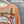 HM 25 Sweater Peach Orange Wool 89215
