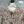 Chanel 2025 Cardigan Multicolore en Cachemire Crocheté à la Main 327002