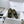 CC Moccasins 25mm In Moss Green Glossy Lambskin 144643