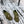 CC Moccasins 25mm In Moss Green Glossy Lambskin 144643