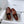 CC Moccasins 25mm In Brown Red Glossy Lambskin 144645