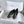 CC Slinback Flats In Black Glossy Lambskin 144671