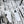 CC Sneaker 35mm In White Soft Cowhide 144702