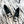 CC 26s Coco Beach Ballet Flats Black Quited Lambskin 741089