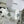 Baskets plateforme CC, cuir blanc et caoutchouc 696670