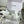 Baskets montantes CC en coton blanc et caoutchouc 696672