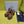 Prada 25 AW Platform Sandals Dark Brown Suede 564120