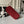 Chanel 2025 Hobo Bag 31cm Red Suede With Gold Hardware 320285
