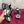 DC 24 Airmaster Sneakers Beige Black Cowhide 947305
