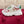 DC 25 Daymaster Sneakers Multicolor Cowhide & Sheepskin 271109