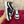 DC 25 Strobel Portofino Light Sneakers Black White Mesh & Sheepskin 271121