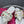 VT Rockstud Thong Sandals White Cowhide