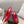 Alaia 25 Curve Wedge Mules Red Lambskin 293556