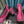 slingback 65 tweed rosa scuro grosgrain nero