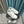 CC Low Sneaker White Cowhide