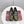 Mocassins Horsebit GG 26s Cuir Brillant Olive 639925