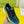 GG Men's Sneaker Black Blue Flywoven Fabric 532009