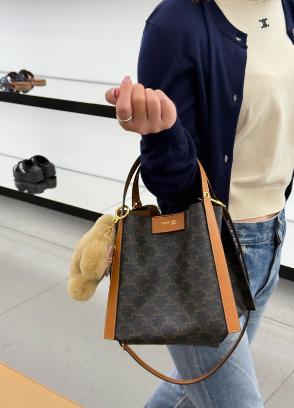 Celine Small Cube Bag Brown Triomphe Canvas Calfskin