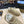PRA TRAIL FADED ECRU SUEDE SNEAKERS