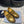 PRA SCHOCOLATE BRUSHED LOAFERS METALLIC GOLD CALFSKIN