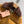 Miu Miu Collar Down jacket Camel Brown Polyester Fiber