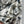 CD 25 Plant Flower Print Denim Jacket White Gray Cotton 205152
