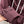 Prada 25 Short Hooded Jacket Red Burgundy Poliamide 211160